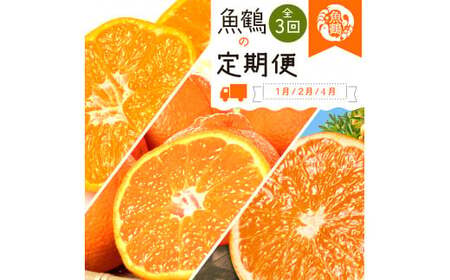 [全3回]柑橘定期便(みかん・不知火・清見オレンジ)[tkb384]