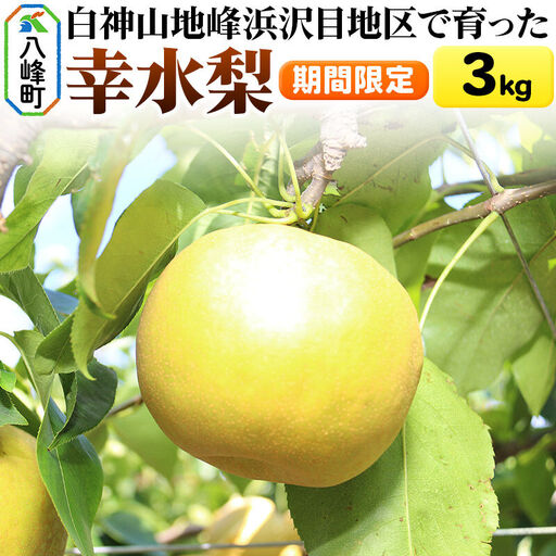 梨 幸水 3kg【期間限定】 白神山地峰浜沢目地区で育った和梨 秋田県八峰町産 おらほの館 先行受付