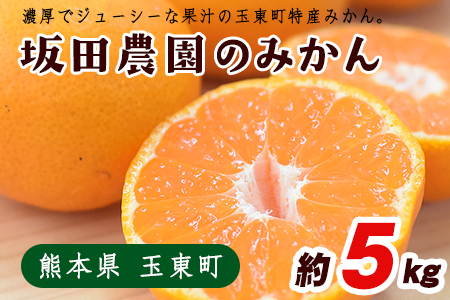 先行予約 みかん 約5kg 坂田農園 みかん