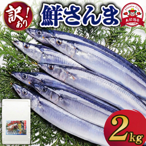 訳あり 鮮さんま 約2kg 冷蔵