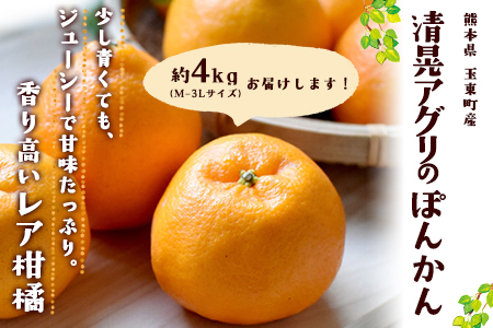 『清晃アグリ』のポンカン 約4kg(M-3Lサイズ)[12月中旬-1月中旬頃出荷]