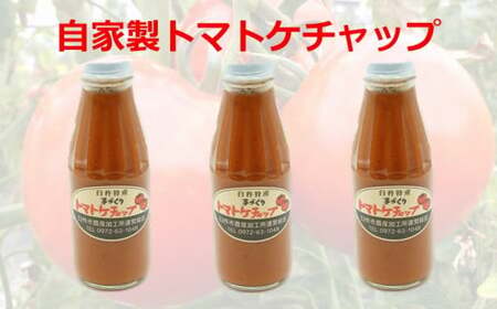 【四季菜彩】採れたて完熟トマトで作った「トマトケチャップ」(3本)
