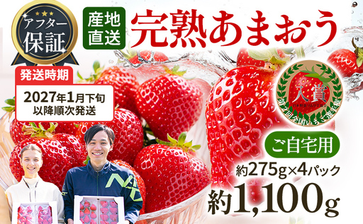 いちご あまおう 約275g×4P R9年1月下旬以降発送 いちご