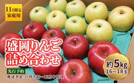 訳あり 盛岡りんご りんご 5kg 16〜18個 家庭用 11月限定 下久保農園 shitakubo003