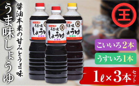 うま味しょうゆこいいろ2本・うすいろ1本セット F5J-1310