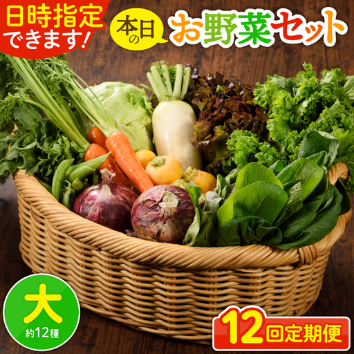 【12回定期便】日時指定OK！本日のお野菜セット （大サイズ/約15～17種） 4人以上用 / 野菜 朝どれ 有機栽培 産地直送 新鮮 旬 詰め合わせ サラダ 果物 きのこ類 やさい 送料無料 定期便 12カ月 【オーガニックのまち 宮崎県綾町】_A0053-012