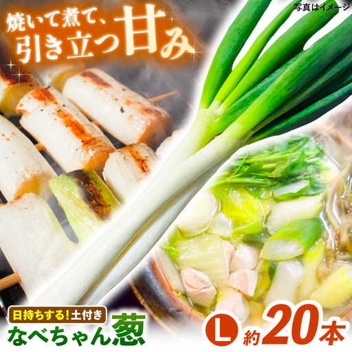 ねぎ【2026年11月発送開始】なべちゃん葱(土付き) Lサイズ5kg 約20本[AICO002]