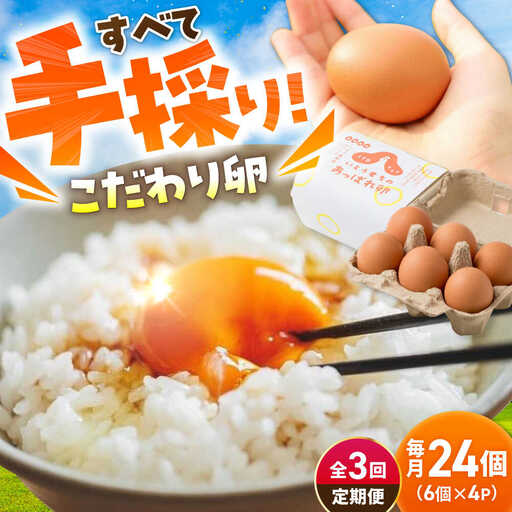 【3回定期便】あっぱれ卵 24個 /いとう養鶏場 [UAQ009] 卵 たまご 鶏卵