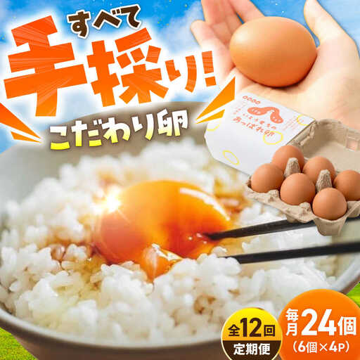 【12回定期便】あっぱれ卵 24個 /いとう養鶏場 [UAQ011] 卵 たまご 鶏卵