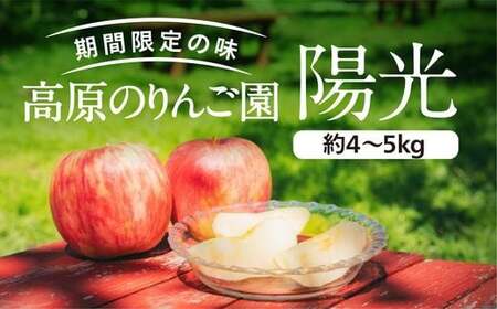 りんご陽光中箱(4〜5kg) 10〜12個入り | 正岡観光りんご園 愛媛県 久万高原町産 りんご リンゴ 林檎 くだもの 果物 フルーツ 旬 ※2026年10月〜発送