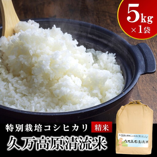 【R8年産】久万高原清流米 コシヒカリ 5kg 精米｜特別栽培米 減農薬・減化学肥料 標高800mの高原育ち 愛媛県久万高原町 道の駅　天空の郷さんさん ※2026年10月～発送