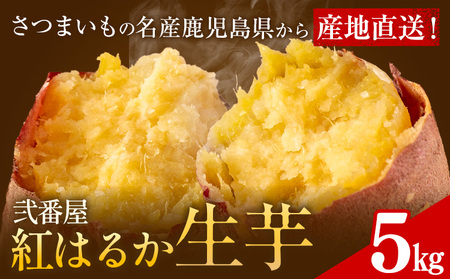 紅はるか サツマイモ 芋 5kg サイズ混合 2L-2S 弐番屋[11月上旬-2月中旬頃出荷]鹿児島県 さつま町 送料無料 さつまいも イモ 野菜 スイーツ お取り寄せグルメ