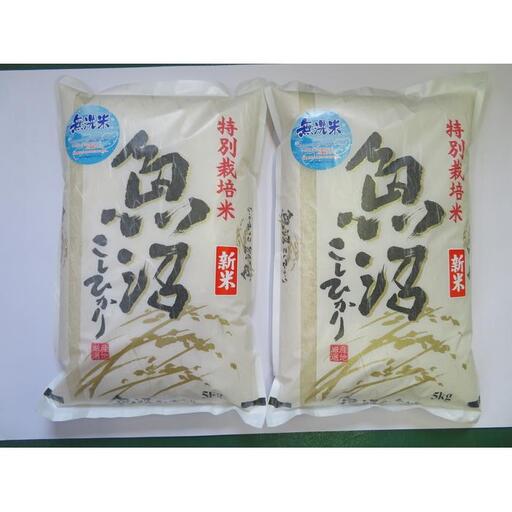 令和8年産　無洗米　魚沼産コシヒカリ特別栽培米　5kg×2