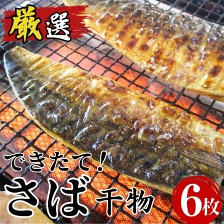 できたて干物!!さば6切れ_魚介・海産物  干物 _【配送不可地域：離島】【1539826】