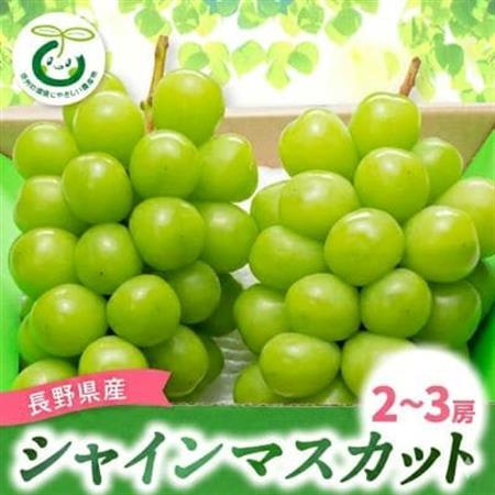 【2026年先行受付】シャインマスカット (2～3房)【配送不可地域：離島】【1543045】