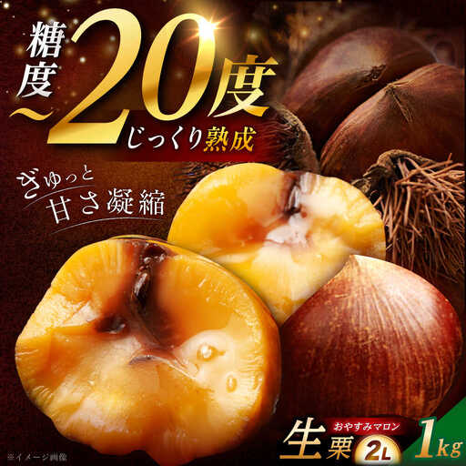 [先行予約]おやすみ栗(マロン)1kg(2Lサイズ) / 恵那市 / えな笠置山栗園 [AUAV004]