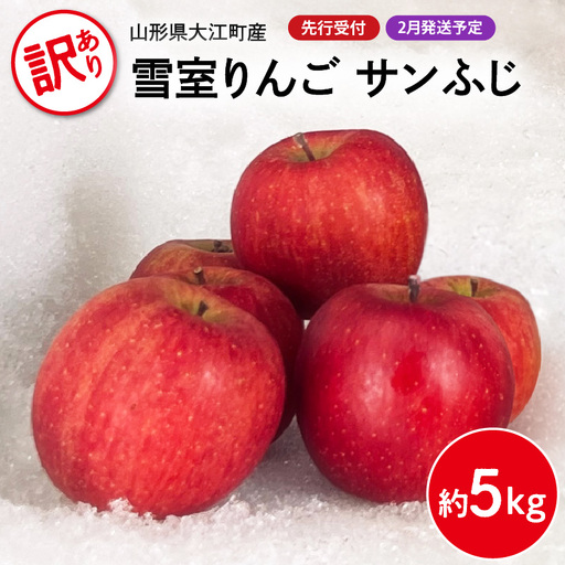 [先行受付][2027年2月発送予定] 訳あり 雪室りんごサンふじ 約5kg[大江町産・山形りんご・大地農産] 028-029