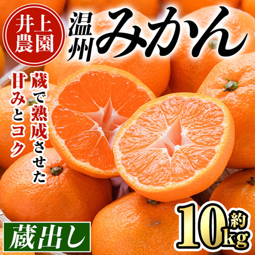 ＜先行予約受付中！1月中旬より順次発送予定＞大分県宇佐市産 蔵出し みかん(約10kg)ミカン 蜜柑 柑橘 フルーツ 果物 くだもの 果実 国産 熟成【103690100】【井上農園】