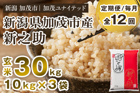 【令和8年産新米先行予約】【12ヶ月定期便】新潟県産 新之助 玄米30kg（10kg×3袋）《10月上旬から順次出荷》 加茂ユナイテッド