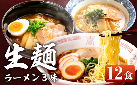 [訳あり]飛騨高山ラーメン3味セット 12食 醤油・味噌・塩 ラーメン[29-5]