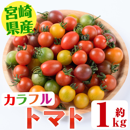 ＜先行予約受付中！2026年11月から順次発送予定＞カラフルトマト食べ比べセット(約1kg)  国産 野菜【KT-9】【K.Tfarm】
