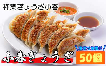 餃子 50個 冷凍 スタンダード 杵築ぎょうざ小春 ＜152-001＞