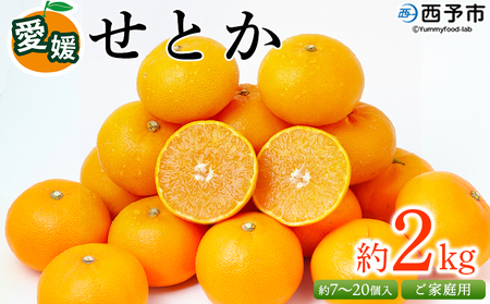 [愛媛県西予市産 せとか ご家庭用 約2kg] 訳あり 不揃い 傷 果物 フルーツ みかん ミカン 蜜柑 セトカ オレンジ 柑橘類 選べる 甘い 期間限定 食べて応援 特産品 宇都宮物産 [常温]『2027年2月下旬〜4月上旬迄に順次出荷予定』UUB0053