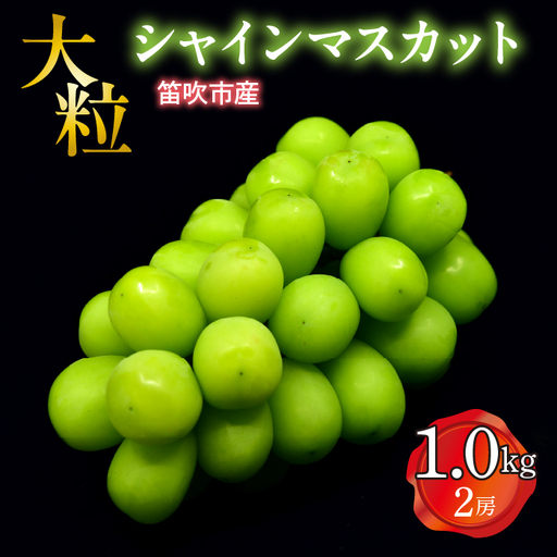 【2026年発送★先行予約】笛吹市産 大粒ｼｬｲﾝﾏｽｶｯﾄ 1.0㎏以上(2房) 227-001-26y