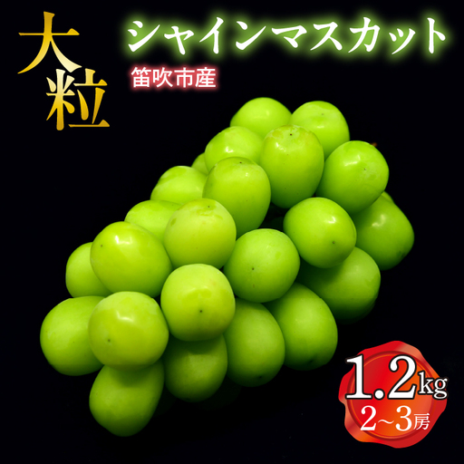 【2026年発送★先行予約】笛吹市産　大粒ｼｬｲﾝﾏｽｶｯﾄ　1.2㎏(2～3房) 227-002-26y