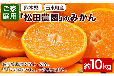 訳あり ご家庭用みかん 約10kg(S-2Lサイズ) 【日付指定不可】《11月上旬-12月下旬頃出荷》 松田農園
