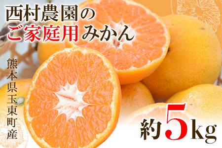 ご家庭用『西村農園』のご家庭用みかん★約5kg(2S-2Lサイズ) [11月下旬-12月下旬頃出荷]
