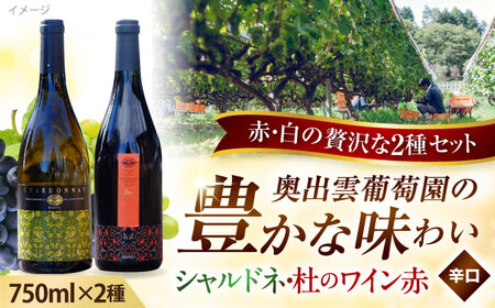 シャルドネ・杜のワイン赤 奥出雲葡萄園 [AICS005] ワイン