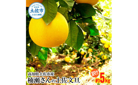 [先行予約]楠瀬さんの土佐文旦 訳あり 約5kg 約5キロ L?4L[2027年2月15日?2027年4月5日発送] ぶんたん ブンタン フルーツ 柑橘 みかん 果物 くだもの 柑橘類 デザート おやつ 甘い わけあり ご自宅用[まる庄果樹園][BQAF013]