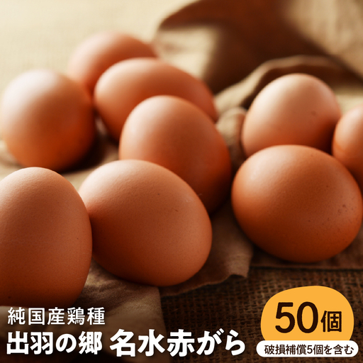 出羽の郷 名水赤がら 50個入(破損補償5個を含む) たまご 卵