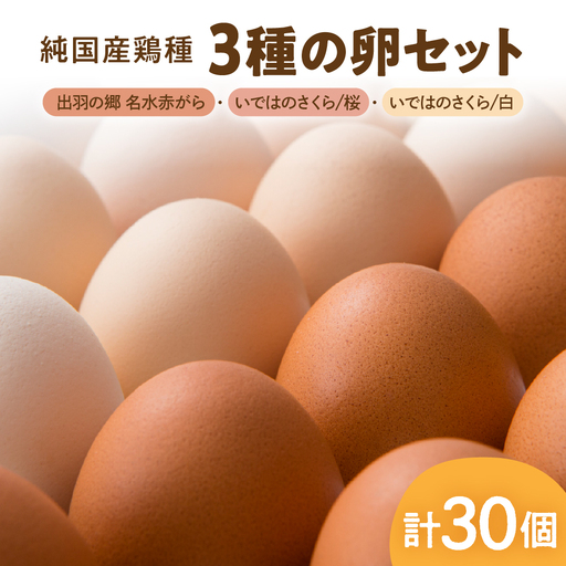 純国産鶏種 3種の卵セット 計30個(破損補償含む) 半澤鶏卵 たまご