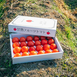 [2026年12月下旬〜順次発送]フルーツトマト 原田農園 約1、800g(大箱)