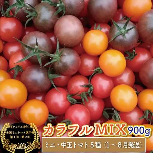 【2025年12月～発送】＜900g＞カラフル トマト 5種MIX フルティカなど　ましまファーム ミニトマト フルーツトマト アイメック   ミックス フルティカ＆ミニ4種