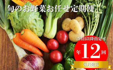 [ふるさと納税]年12回発送![南国高知から直送!旬の季節のお野菜定期便(7〜9品)]毎月お届け 野菜セット 野菜便 詰め合わせ [冷蔵] 旬の時期にお届け 2回目以降、着日時間指定可能 こうち育ち 佐川町