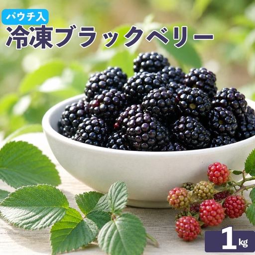[ふるさと納税][冷凍ブラックベリー約1kg] ふるーつ fruit ヒロの果樹園からMIYAMOTO FARMが受け継ぎました [冷凍] 冷凍フルーツ フローズン 秀品 高知県 佐川町 (栽培期間中 化学農薬化学肥料不使用)