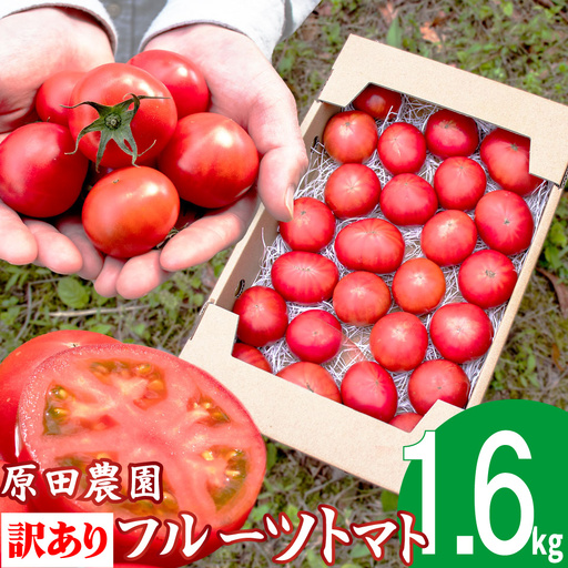 【2026年12月下旬～順次発送】＜訳あり フルーツトマト 原田農園 約1.6kg 箱入＞ 桃太郎 家庭用 ワケあり 変形 キズあり 高知県 佐川町　