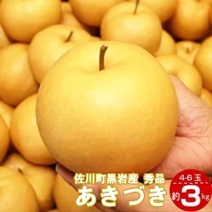 あきづき　梨（約３kg／4～7玉）【期間限定・先行予約受付】秋月梨 2026年秋発送