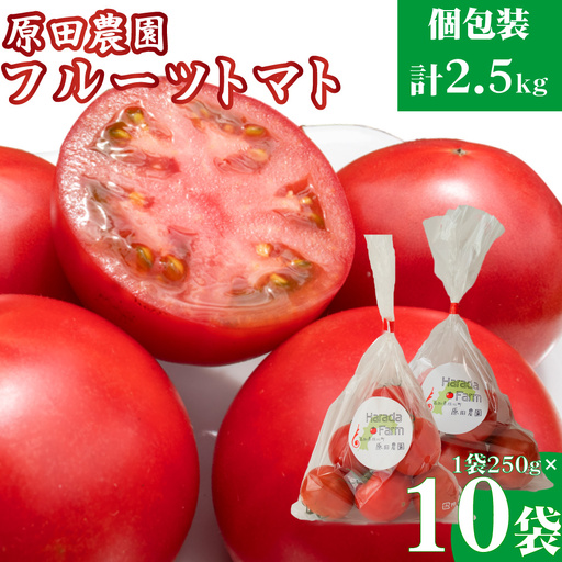 [2026年12月下旬〜順次発送][秀品 A品 フルーツトマト 原田農園 約2.5kg 個包装 1袋250g×10袋] 桃太郎 高知県 佐川町