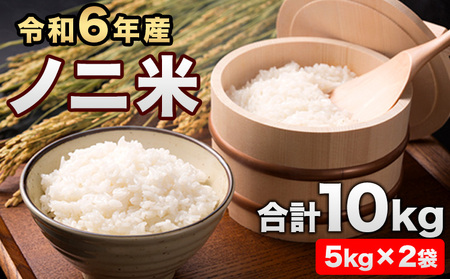 令和6年産  ひのひかり(ノニ米) 10kg(5kg×2袋)コノCAFE《30日以内に出荷予定(土日祝除く)》｜人気米 熊本県産米 お米 生活応援米 st-p st-p