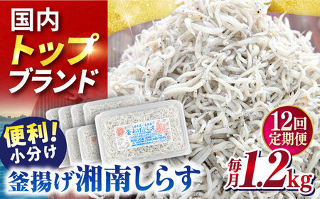 【全12回定期便】釜揚げしらす1.2kg（150ｇ×8パック） しらす シラス しらす シラス 釜揚げ 釜揚 【かねしち丸水産】 [AKFL008]