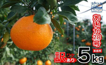 【2026年12月上旬頃から順次発送】訳あり あいか28号 家庭用 ５kg ｜産地直送 国産 柑橘 期間限定 数量限定 ご当地 愛媛県 松山市【OCF003】