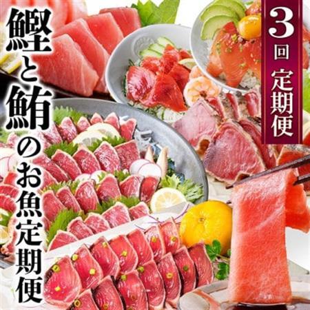定期便3回配送　鰹とまぐろのお魚定期便　QQ-0005_魚介・海産物 カツオ 鮮魚 かつお 鰹  魚介・海産物 マグロ 鮮魚 まぐろ 鮪  定期便 定期便  _【配送不可地域：離島】【1543247】