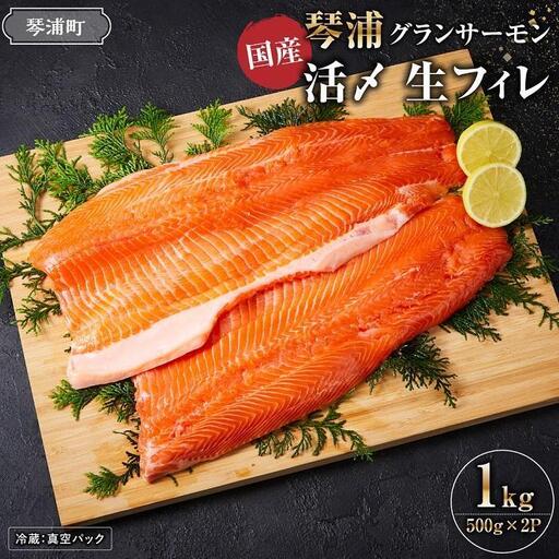 琴浦グランサーモン 1kg (500g×2P) 鳥取 活〆 冷蔵 生フィレ サーモン