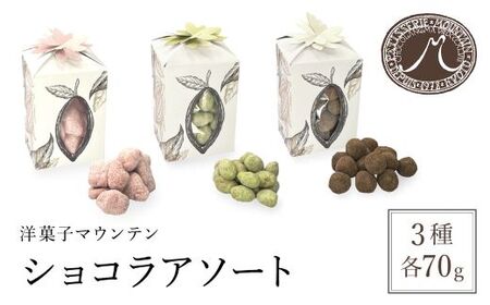 洋菓子マウンテン ショコラアソート (フィグルビー・ピスターシュ・ノワゼットショコラ・3種×各1個) ふるさと納税 福知山市 スイーツ 洋菓子 チョコレート ショコラ ショコラティエ 人気のショコラ 贅沢 3種 セット 詰合せ ギフト プレゼント [fc-EA003][ショコラナビ]