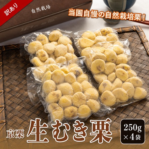 訳あり 栗 1kg 生むき栗 12月発送［BSAR015］