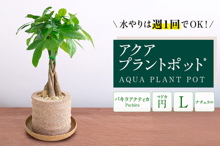 アクアプラントポット® 円L 植木鉢パキラ アクティカ(2136)